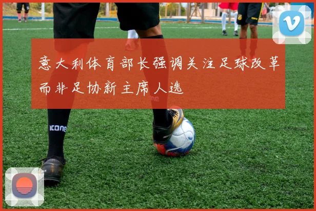 意大利体育部长强调关注足球改革而非足协新主席人选