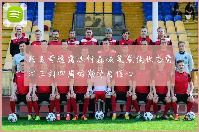 约基奇透露沃特森恢复最佳状态需时三到四周的期待与信心